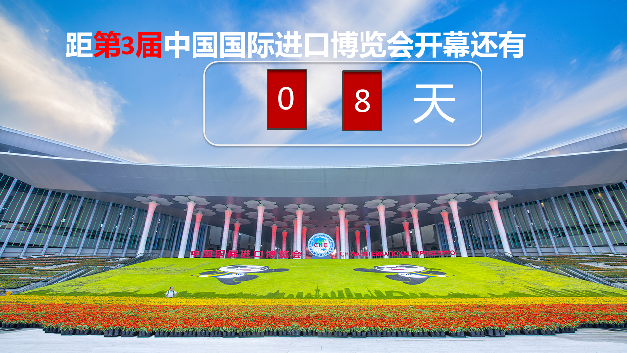 进博会倒计时.png